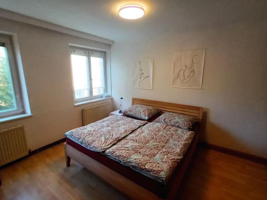 Modernes In Viena